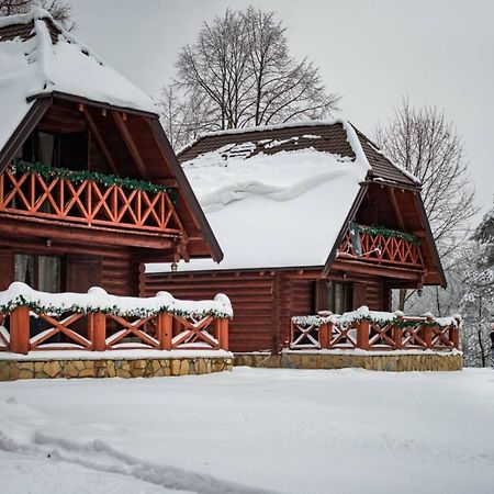 Vila Brvnare Park Borova Zlatibor Exteriér fotografie