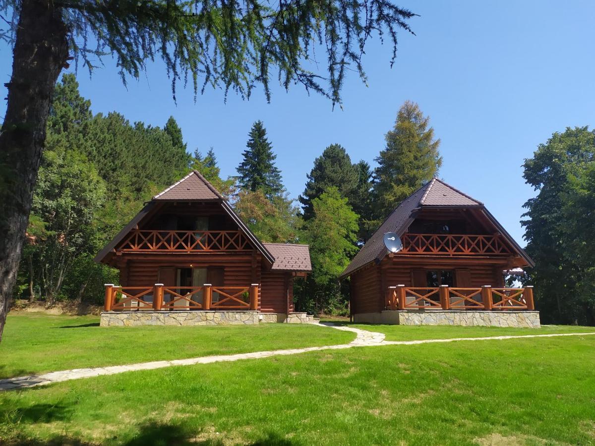 Vila Brvnare Park Borova Zlatibor Exteriér fotografie