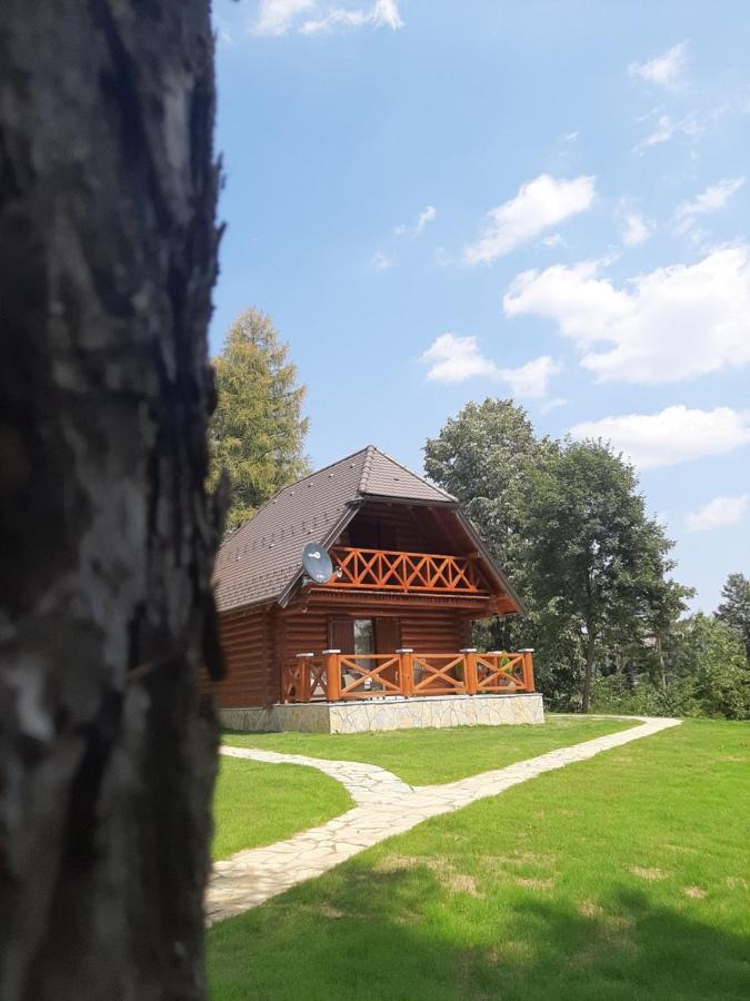 Vila Brvnare Park Borova Zlatibor Exteriér fotografie