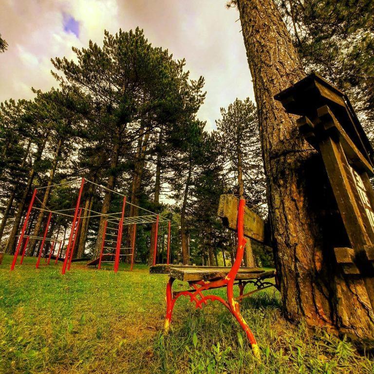Vila Brvnare Park Borova Zlatibor Exteriér fotografie