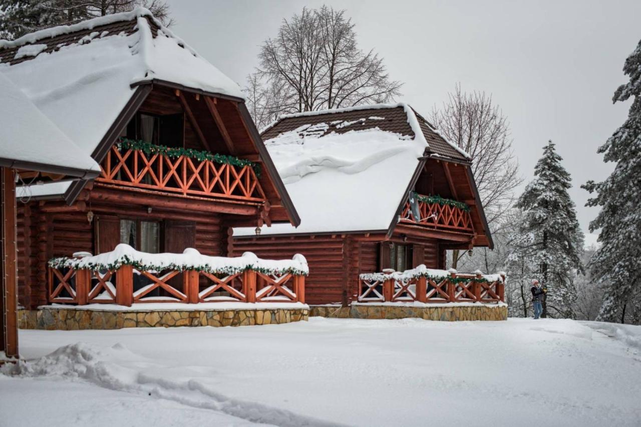 Vila Brvnare Park Borova Zlatibor Exteriér fotografie