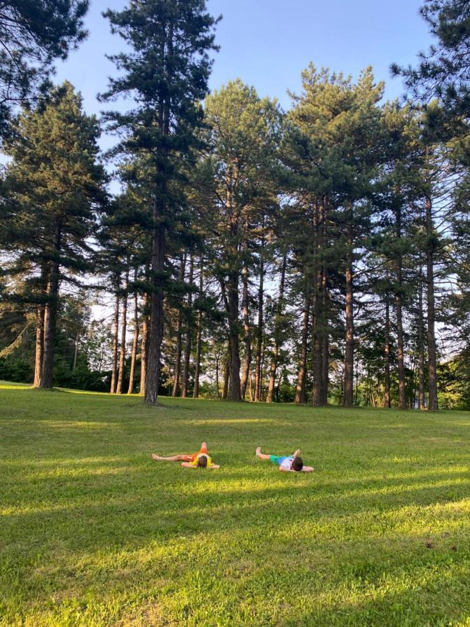 Vila Brvnare Park Borova Zlatibor Exteriér fotografie